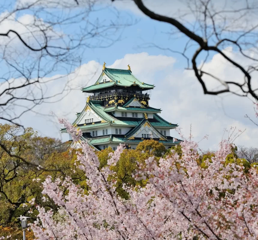 osaka castle with the cherry blossoms in spring